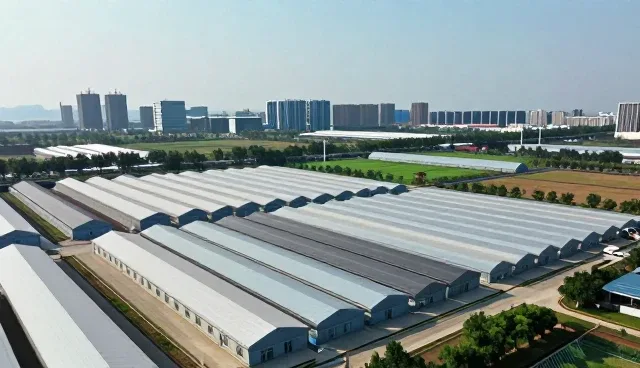 系统优化中的技术转让应用场景选择策略
